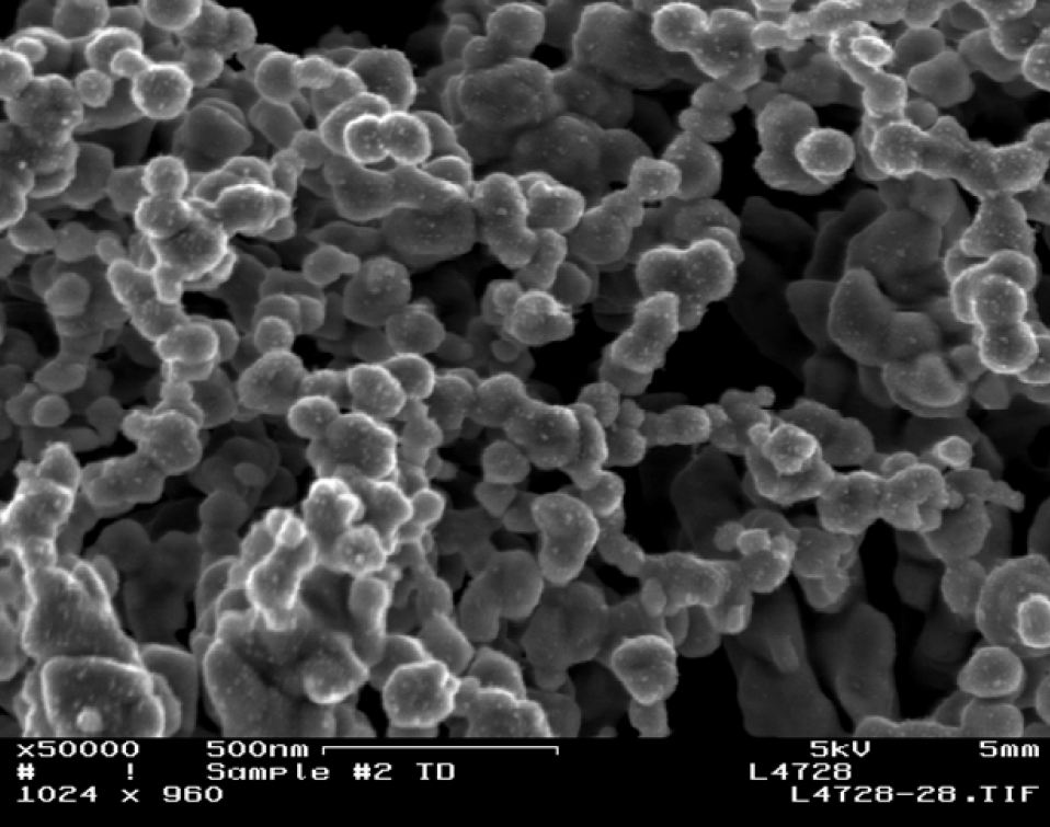 SEM Image of Gold Nanoporous Catalyst 50,000 X Magnification